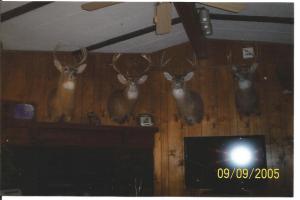 The Mitchell Bucks proudly displayed in their living room.